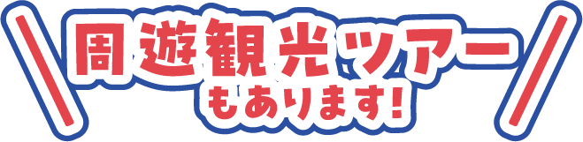 今年は周遊観光ツアーもあります！