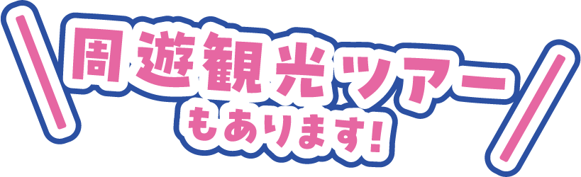 周遊観光ツアーもあります！